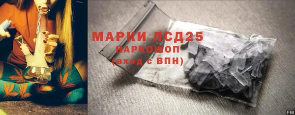 ПСИЛОЦИБИНОВЫЕ ГРИБЫ Баксан